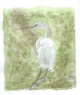 Large Heron